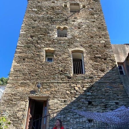 PinoTorra Di Ciocce住宿加早餐旅馆 外观 照片