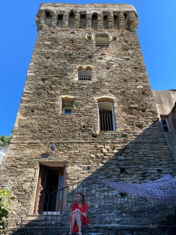 PinoTorra Di Ciocce住宿加早餐旅馆 外观 照片